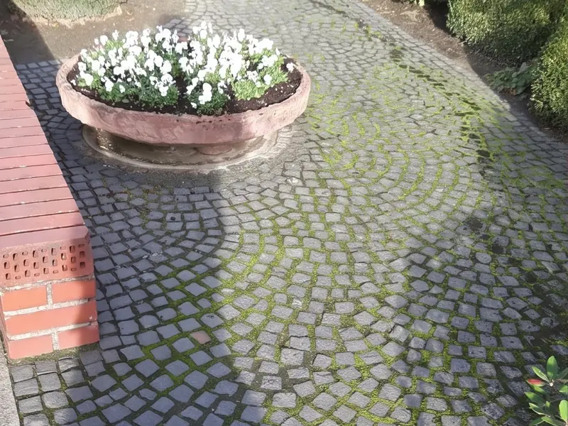 Hof mit Natursteinpflaster vor der Reinigung, Moos in den Fugen und dunkler Belag