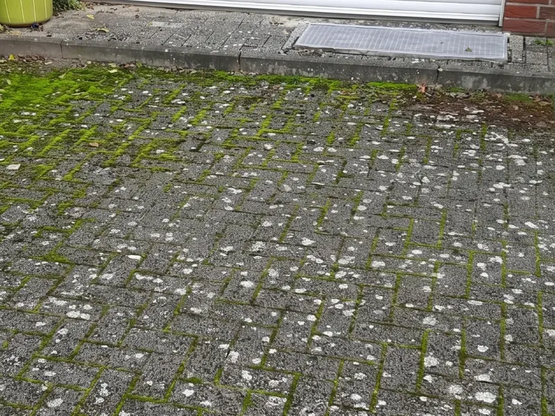 Betonpflaster-Terrasse vor der Reinigung, schwarz von Algen und Moos in den Fugen