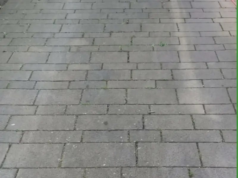 Weg aus großformatigen Betonplatten vor der Reinigung mit grünem Film
