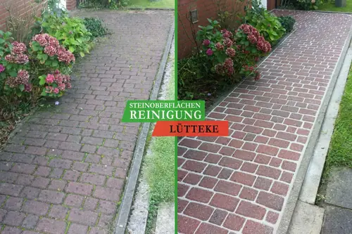 Vorher und nachher: Pflasterweg neben Hortensien, links grün, rechts sauber